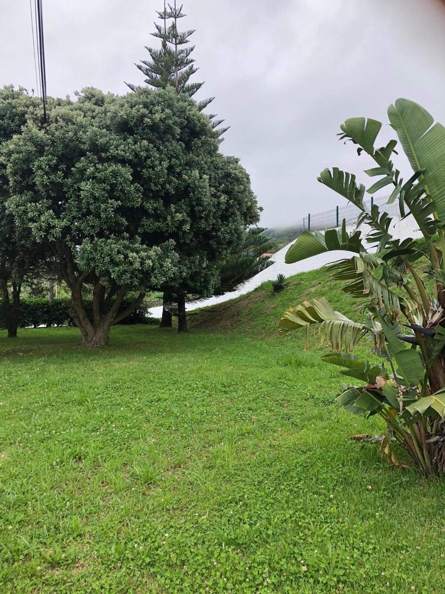 Vivenda Flor Villa Ponta Delgada  Ngoại thất bức ảnh