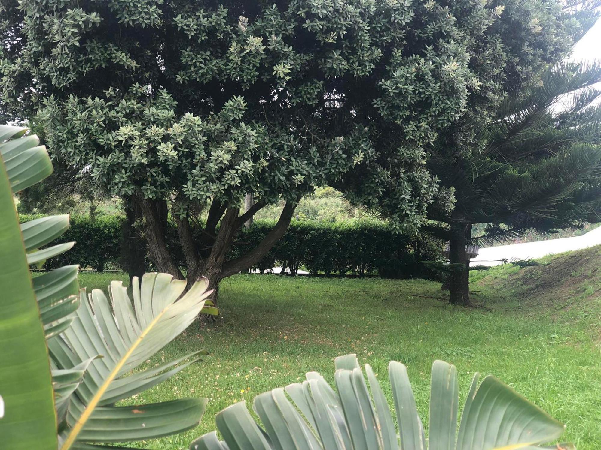 Vivenda Flor Villa Ponta Delgada  Ngoại thất bức ảnh