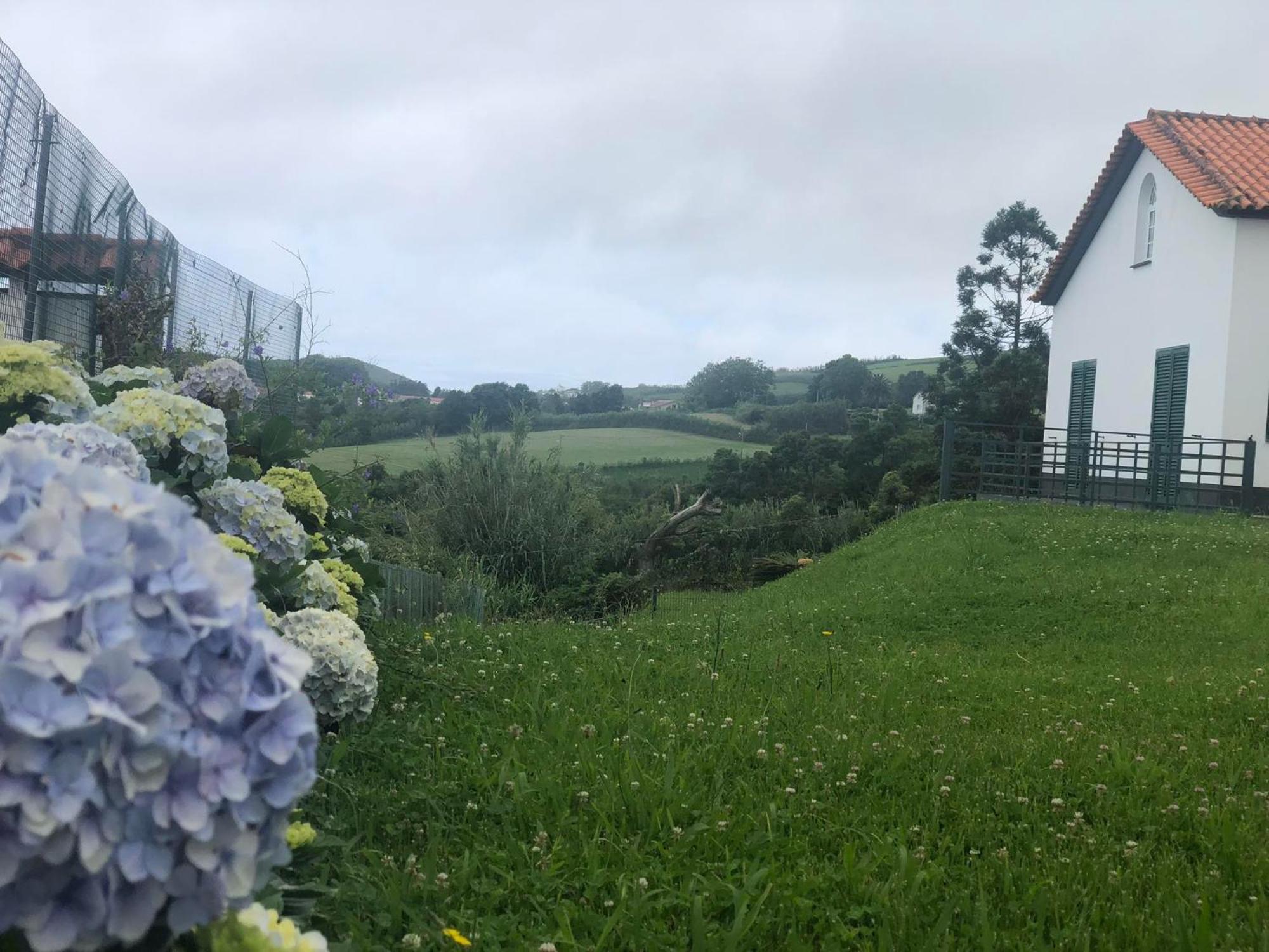 Vivenda Flor Villa Ponta Delgada  Ngoại thất bức ảnh