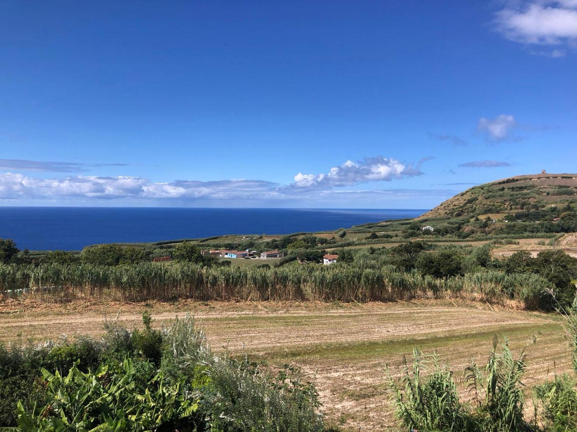 Vivenda Flor Villa Ponta Delgada  Ngoại thất bức ảnh
